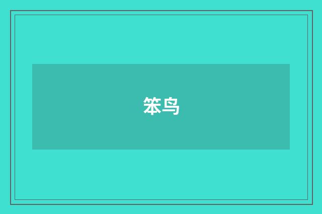 笨鸟