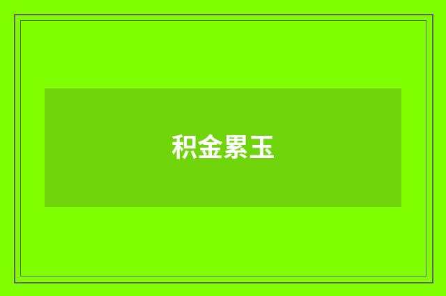 积金累玉