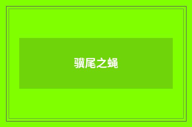 骥尾之蝇