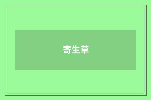 寄生草