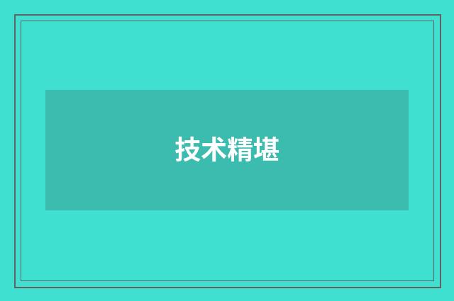 技术精堪