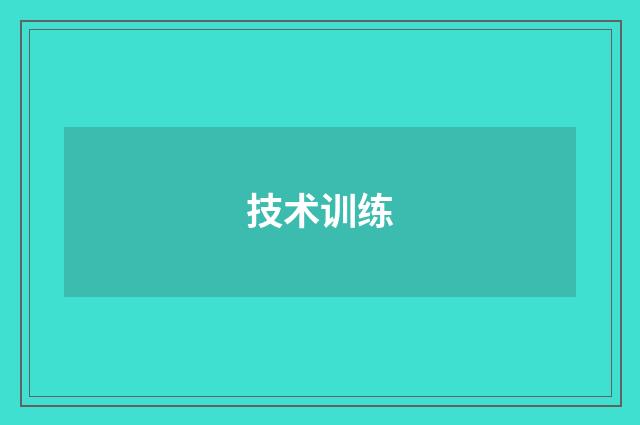 技术训练