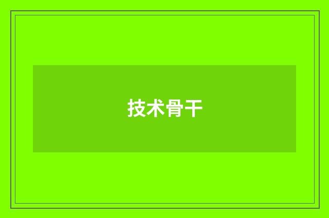 技术骨干
