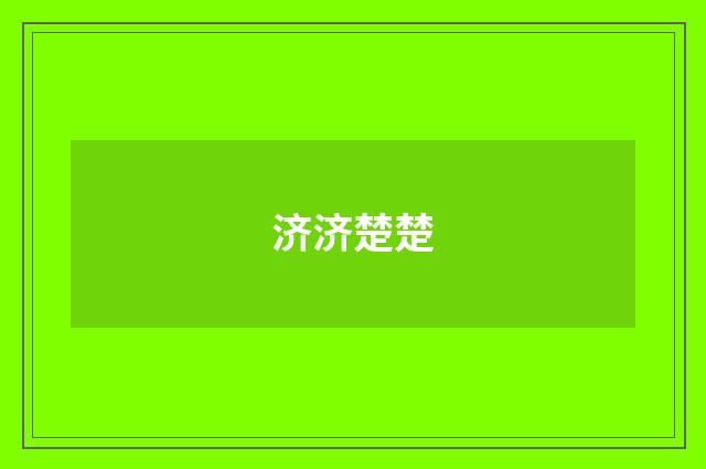 济济楚楚