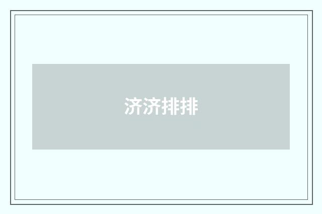 济济排排