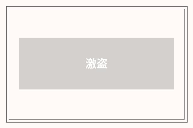 激盗