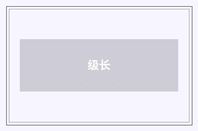 级长