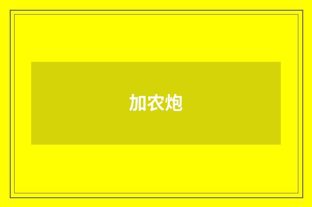 加农炮