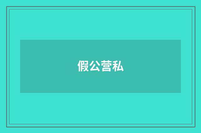 假公营私