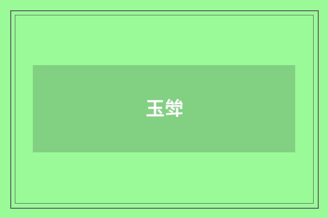 玉斚