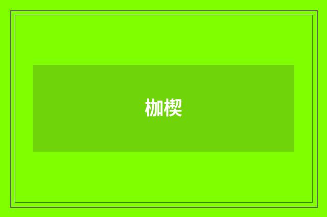 枷楔