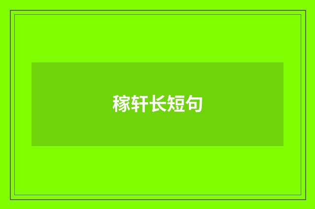 稼轩长短句