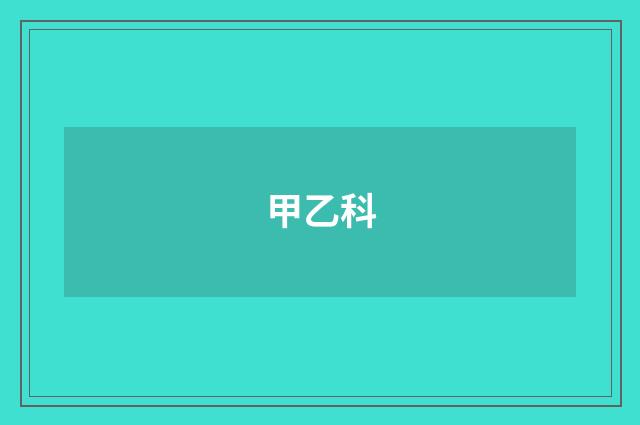 甲乙科