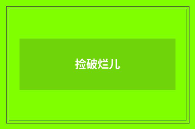捡破烂儿
