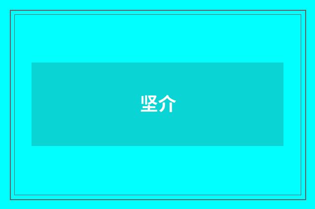 坚介