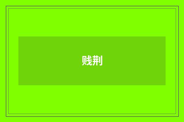 贱荆