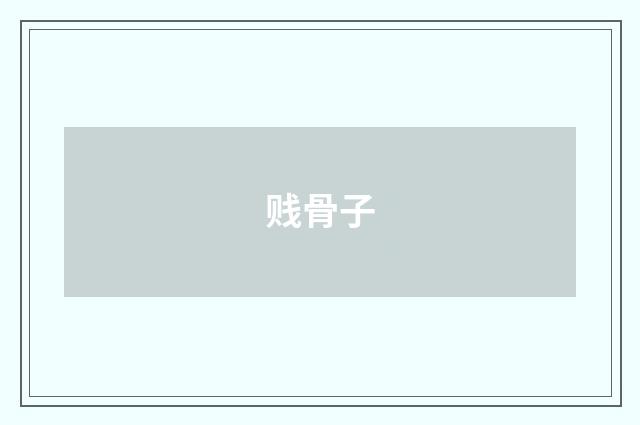 贱骨子