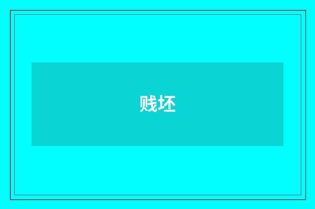 贱坯