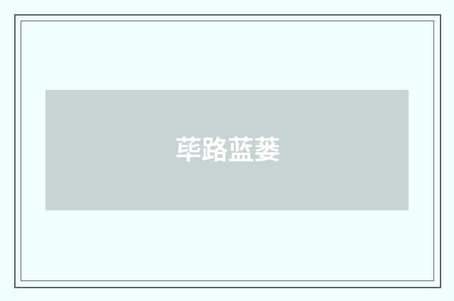 荜路蓝蒌