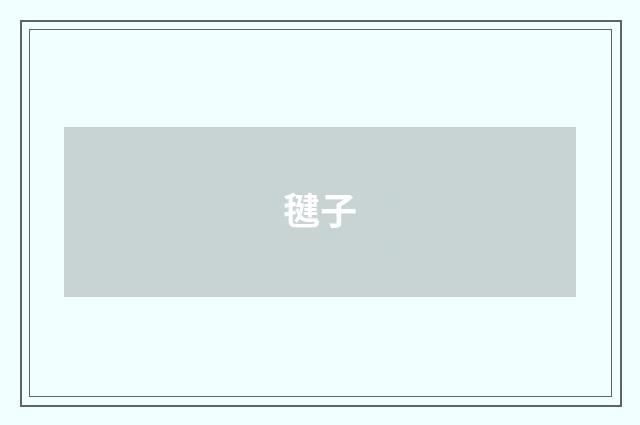 毽子