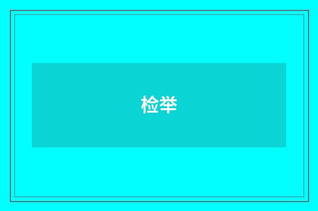检举