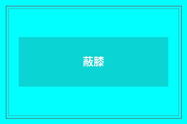 蔽膝