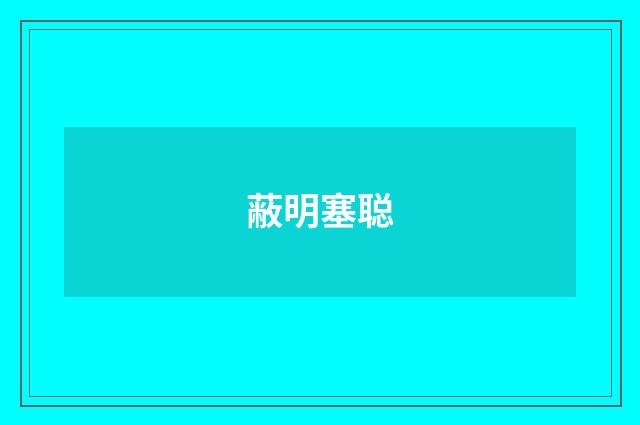 蔽明塞聪