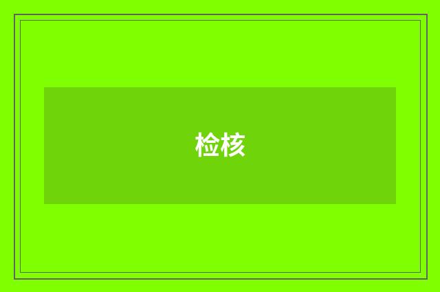 检核