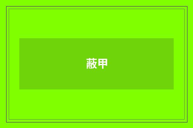 蔽甲