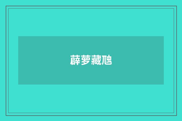 薜萝藏虺