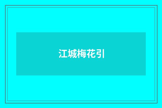 江城梅花引