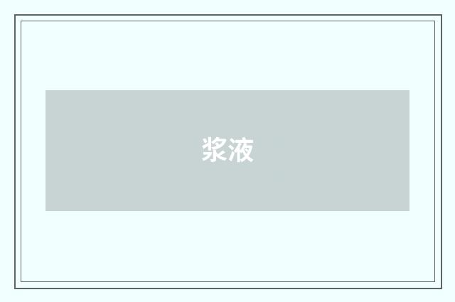 浆液