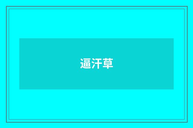 逼汗草