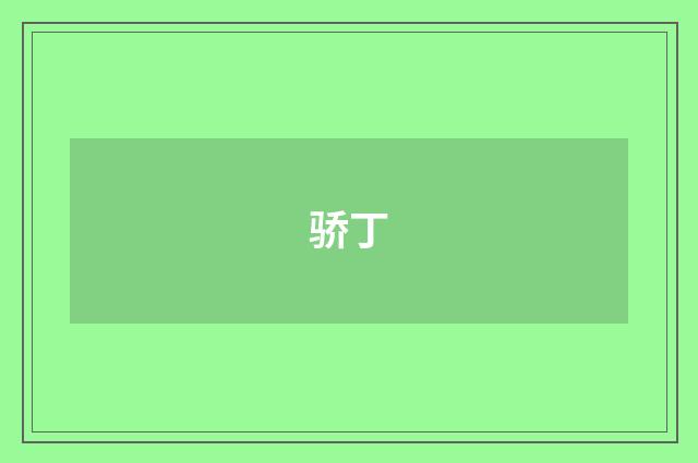 骄丁