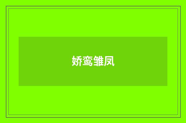 娇鸾雏凤