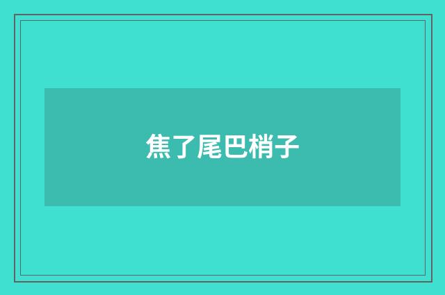 焦了尾巴梢子