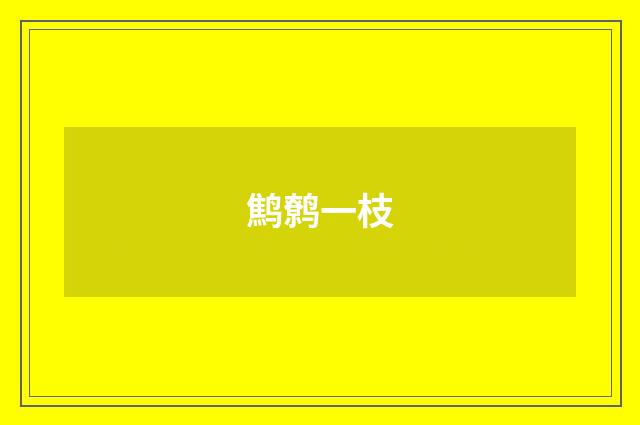 鹪鹩一枝