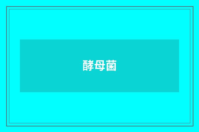 酵母菌