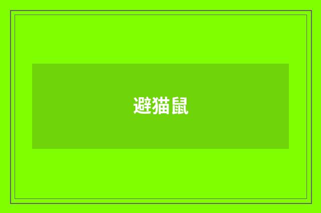 避猫鼠