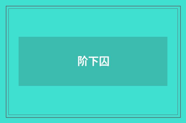 阶下囚