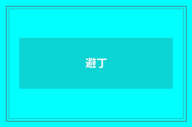 避丁